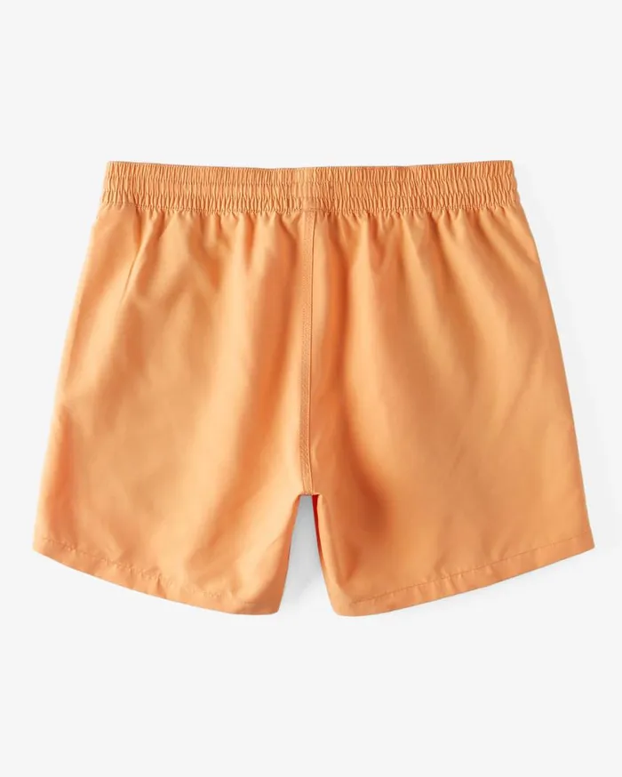 Billabong Boys All Day Elastic Waist 16034 Shorts Melon Mens Boys039 Boardshorts Billabong Boys All Day Elastic Waist 16034 Shorts Melon Mens Boys039 Boardshorts