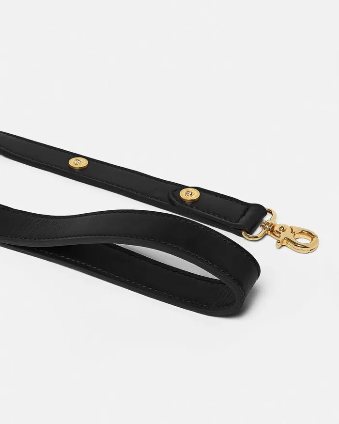 Icon Large Pet Leash Black Home and Lifestyle Versace Pet Accessories
