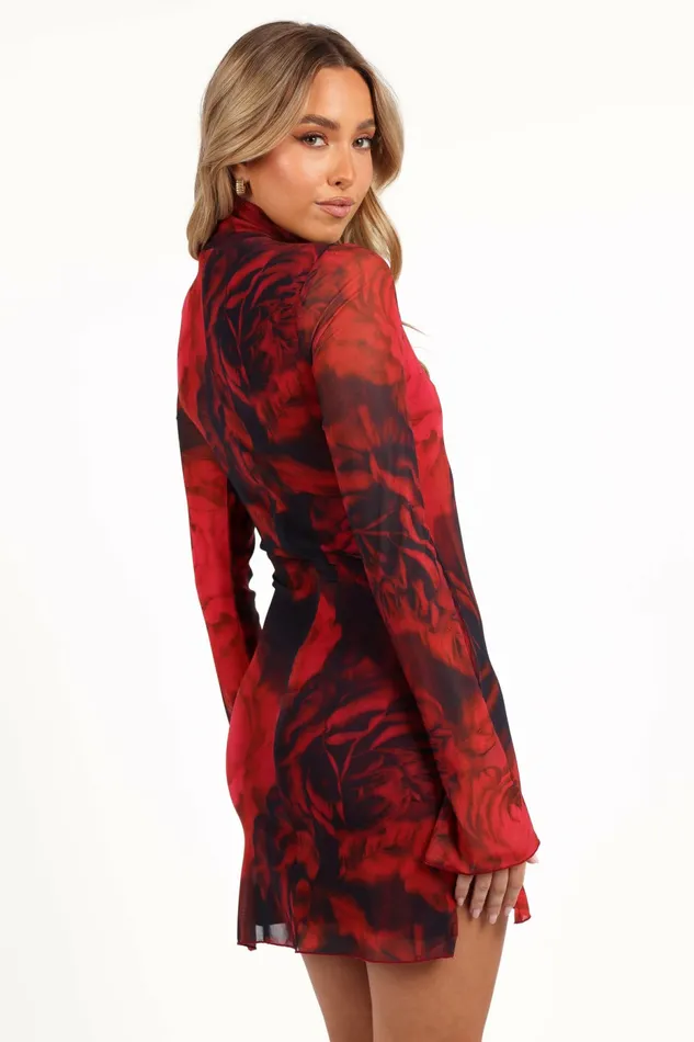 Long Sleeve Dresses Jordi Mini Dress Giovanna Rose Print 8211 Petal and Pup Women