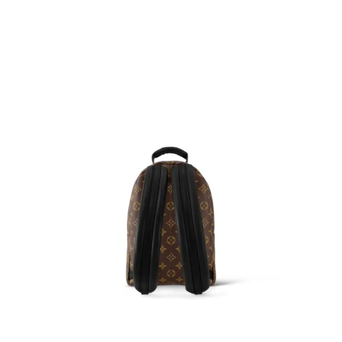 Louis Vuitton Monogram M44871 Palm Springs PM 8211 Louis Vuitton Handbag Store Women Louis Vuitton Backpacks