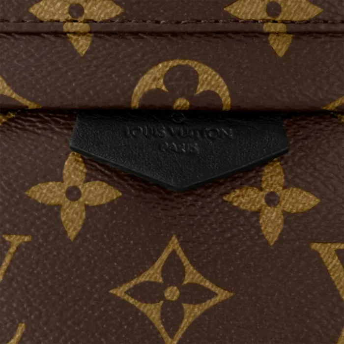 Louis Vuitton Monogram M44871 Palm Springs PM 8211 Louis Vuitton Handbag Store Women Louis Vuitton Backpacks
