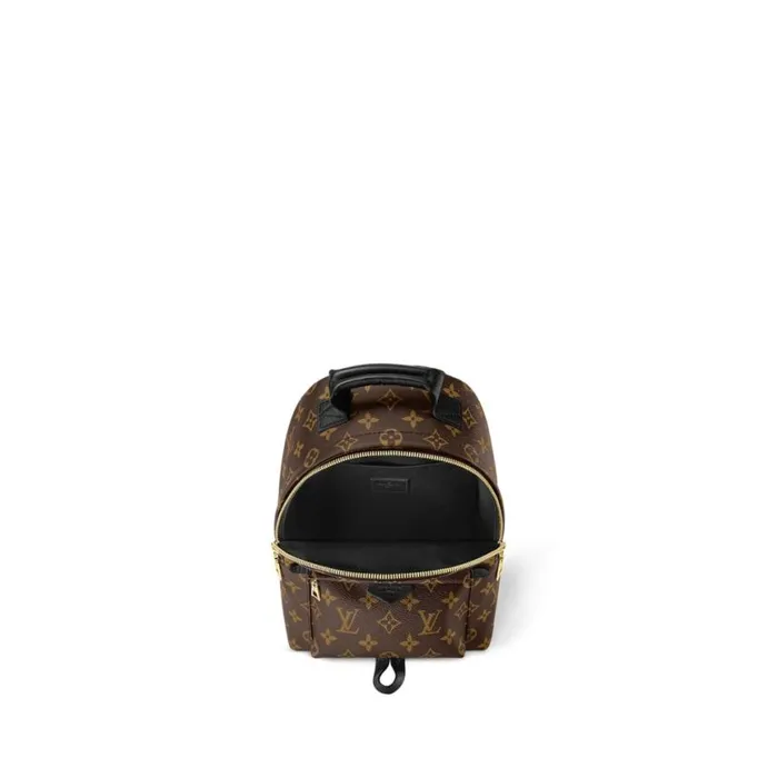 Louis Vuitton Monogram M44871 Palm Springs PM 8211 Louis Vuitton Handbag Store Women Louis Vuitton Backpacks