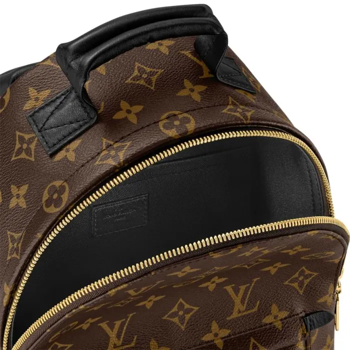 Louis Vuitton Monogram M44871 Palm Springs PM 8211 Louis Vuitton Handbag Store Women Louis Vuitton Backpacks