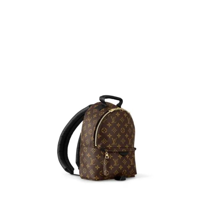 Louis Vuitton Monogram M44871 Palm Springs PM 8211 Louis Vuitton Handbag Store Women Louis Vuitton Backpacks