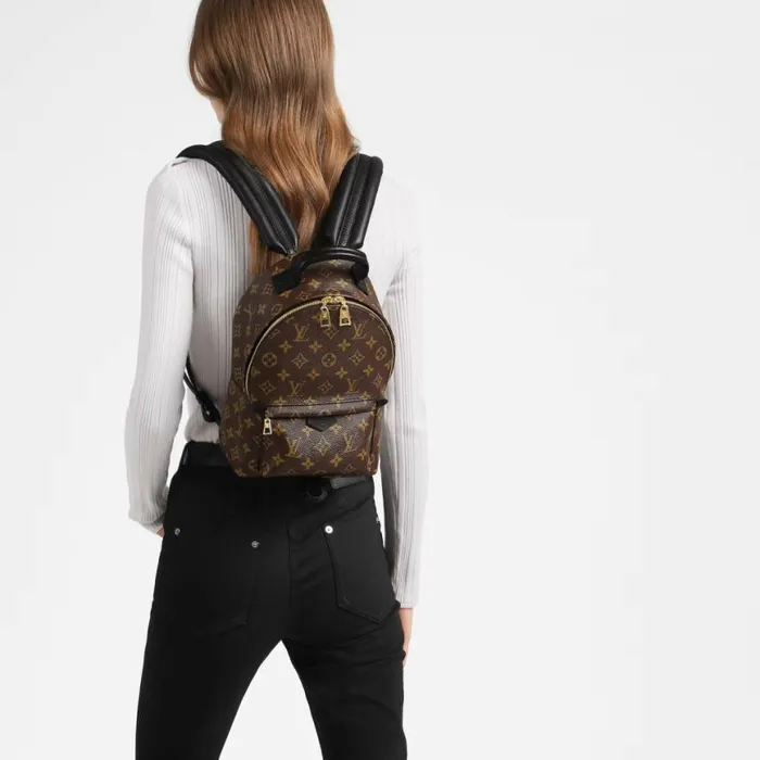 Louis Vuitton Monogram M44871 Palm Springs PM 8211 Louis Vuitton Handbag Store Women Louis Vuitton Backpacks