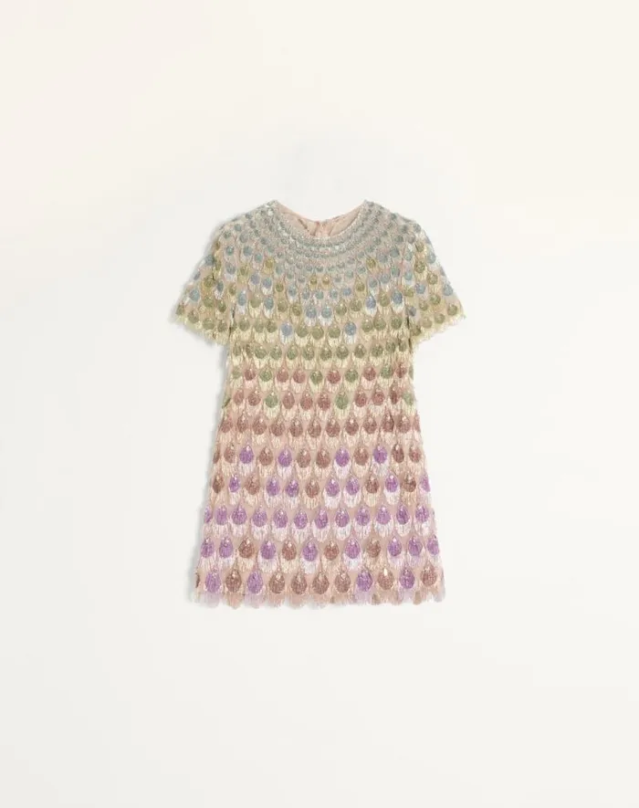 Valentino Dresses Woman Short Embroidered Organza Dress For Woman In Poudremulticolour Poudremulticolour Valentino Dresses Woman Short Embroidered Organza Dress For Woman In Poudremulticolour Poudremulticolour