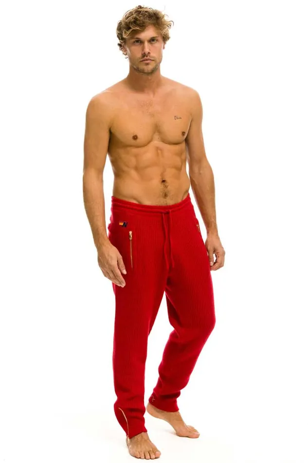 Vintage Cabin Cashmere Sweater Pant 8211 Cherry Men Aviator Nation Sweatpants